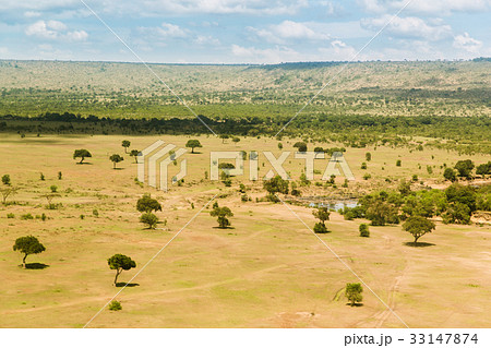 maasai mara national reserve savanna at africa 33147874
