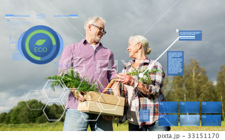 senior couple with box of carrots on farm 33151170