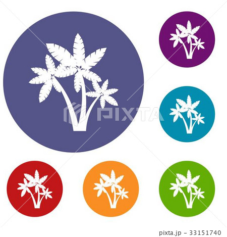Three palm trees icons set Three palm trees icons set 33151740