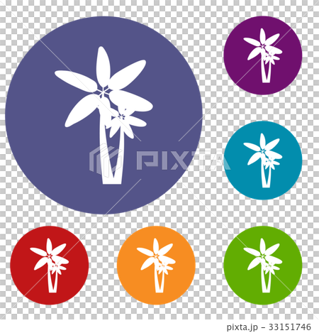 Two palm trees icons set 33151746