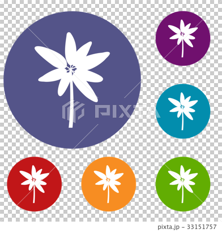 Long palm icons set Long palm icons set 33151757