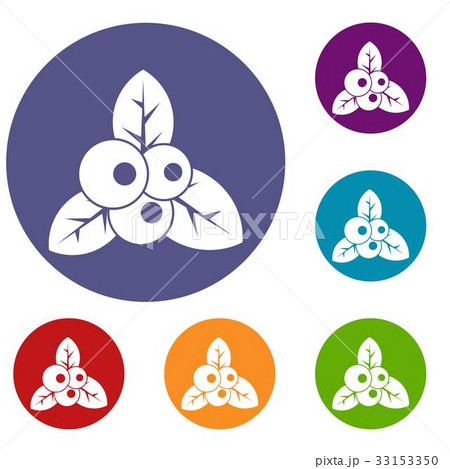 Cranberry icons set 33153350
