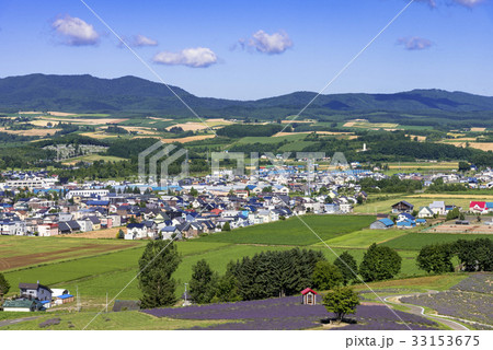 富良野・花人街道の花畑 33153675