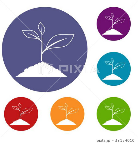 Growing plant icons set 33154010