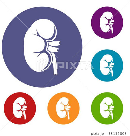 Kidney icons set 33155003