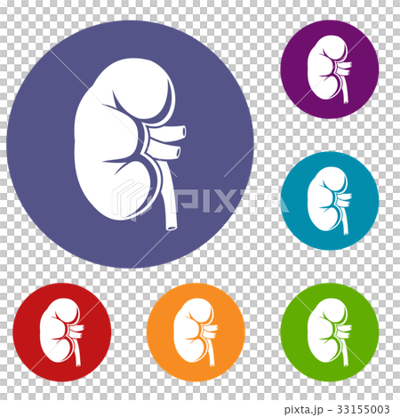 Kidney icons set 33155003