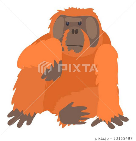 Orangutan icon, cartoon style 33155497