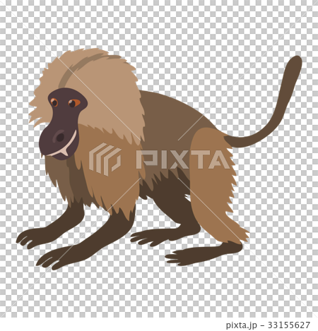 Gelada monkey icon, cartoon style Gelada monkey icon, cartoon style 33155627