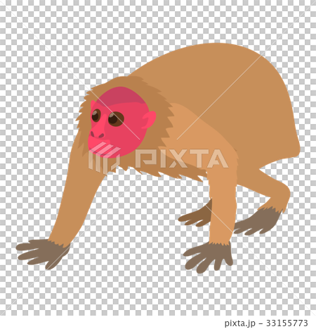 Bald wakari icon, cartoon style 33155773
