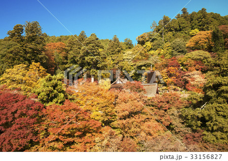関西日光　多武峰錦繍　青空 33156827