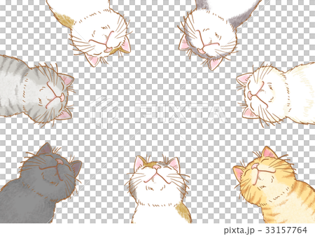 一隻貓 一隻貓 33157764