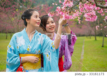 Japanese girls enjoy cherry blossoms tree. Japanese girls enjoy cherry blossoms tree. 33161173