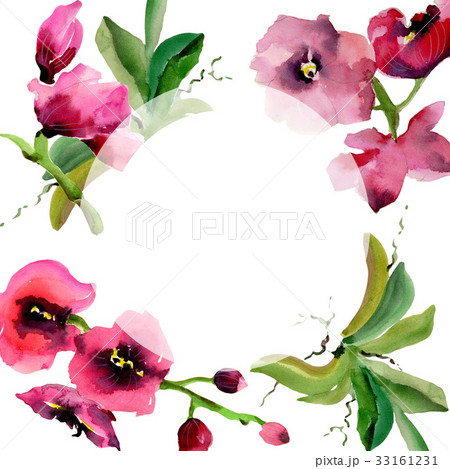 Wildflower orchid flower frame in a watercolor 33161231