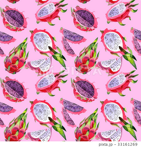 Exotic pitaya wild frukt pattern in a watercolor Exotic pitaya wild frukt pattern in a watercolor 33161269