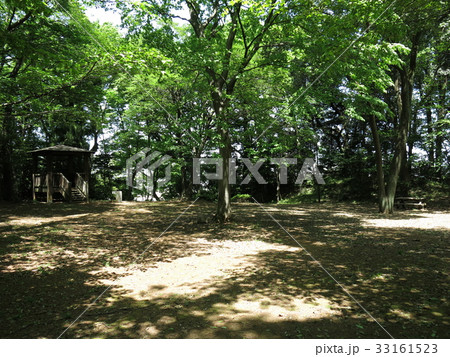 流山市の前ヶ崎城址公園 流山市の前ヶ崎城址公園 33161523