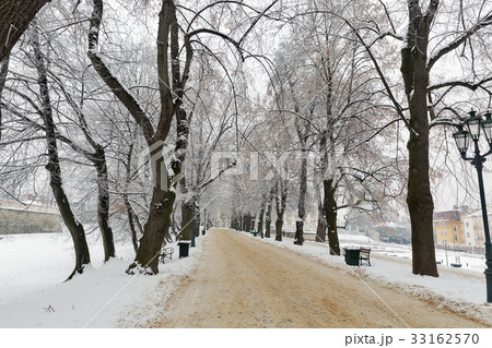 Winter park alley. Rzeszow. Poland 33162570