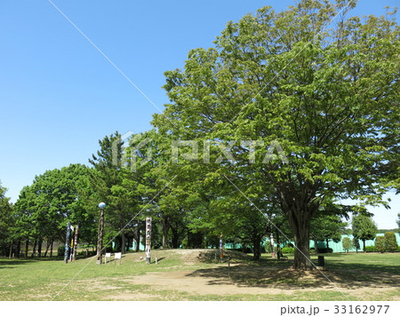 流山市総合運動公園のピクニック広場 33162977