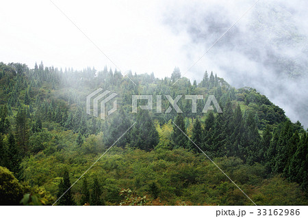 山背景 山の風景 林 33162986