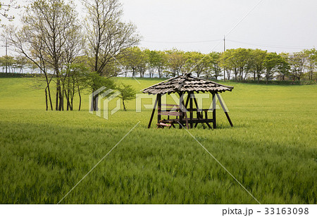 自然 麦畑 番小屋 33163098