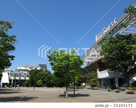 ケヤキの新緑が美しい流山おおたかの森駅南口都市広場 33163173
