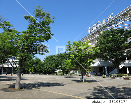 ケヤキの新緑が美しい流山おおたかの森駅南口都市広場 33163174