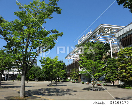 ケヤキの新緑が美しい流山おおたかの森駅南口都市広場 33163176