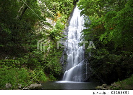 琴滝（京都府京丹波町） 33163392