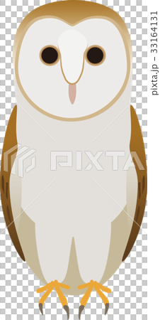 メンフクロウ 33164131