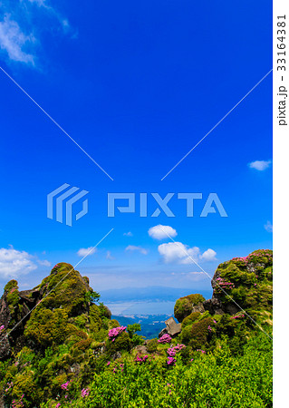 雲仙 立岩の峰 ミヤマキリシマ 雲仙 立岩の峰 ミヤマキリシマ 33164381