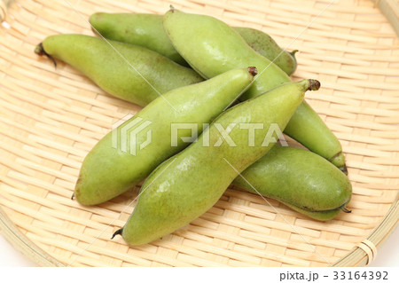 そら豆 33164392