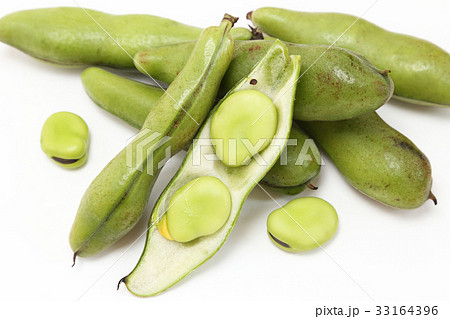 そら豆 33164396