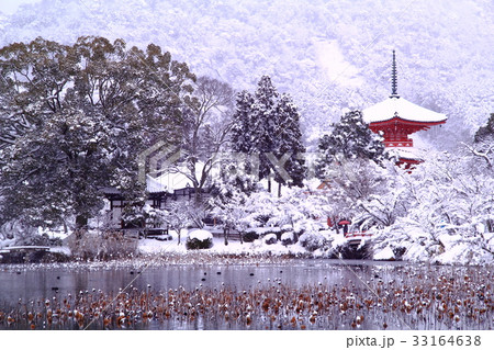 冬の大覚寺（京都　嵯峨野）心経宝塔 33164638