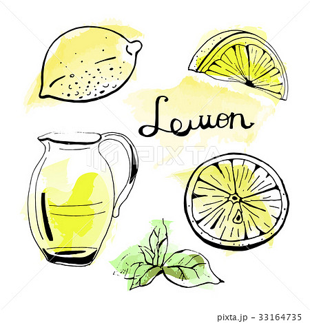 Vector Set Of Hand Drawn Lemonade Lemon And Mintのイラスト素材