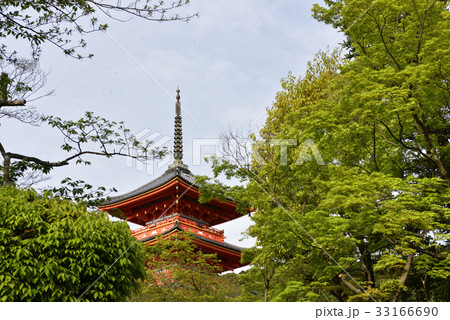 清水寺 三重塔 清水寺 三重塔 33166690