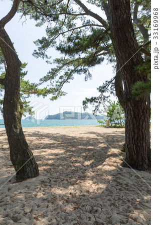 津田の松原/香川県 33169968