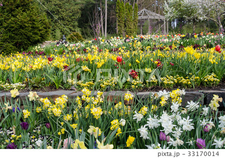 デューク大学 Duke University Sarah P. Duke Gardens デューク大学 Duke University Sarah P. Duke Gardens 33170014