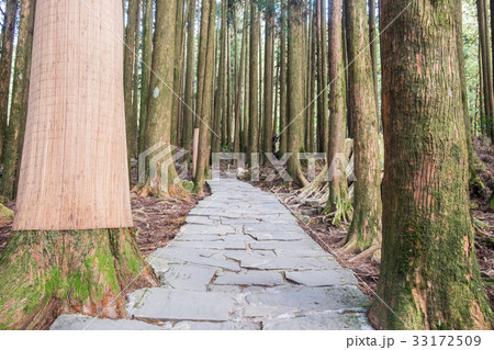 Rock stairs have difficult obstacles to walk up 33172509