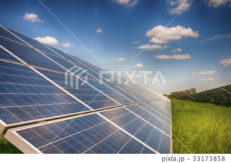 solar plant 33173858