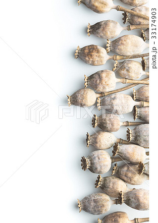Dried poppy heads. 33174903