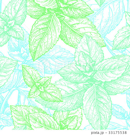 Mint seamless pattern. 33175538