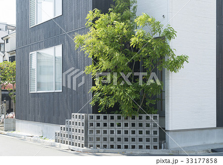 住宅の外観 小さい庭と植栽 デザインブロックの写真素材
