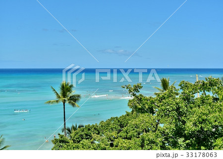 ハワイの休日 33178063