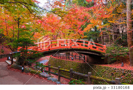 京都 北野天満宮 もみじ苑の紅葉の写真素材