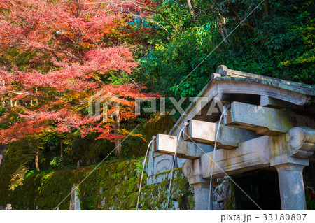 京都 清水寺 音羽の瀧 紅葉 京都 清水寺 音羽の瀧 紅葉 33180807