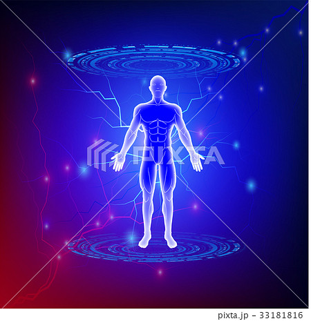 anatomy body male human 33181816