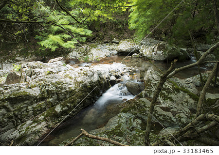 赤西渓谷　躍動する森（兵庫県宍粟市） 33183465
