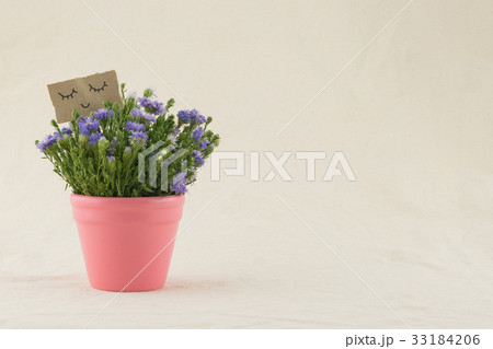 Purple cutter flowers bouquet in pink pot 33184206