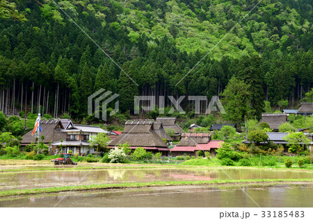 美山のかやぶき屋根と北山杉 美山のかやぶき屋根と北山杉 33185483