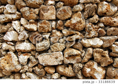 Coral rock wall 33186639