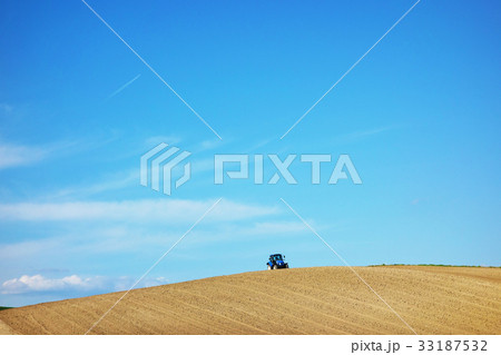 富良野　5月の畑風景 33187532